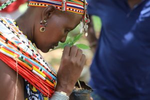 Miti ni Mali Indigenous Women Arboretum